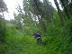 Urwaldtrail