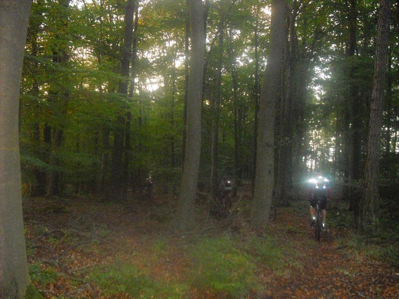 Einfahrt Mrchenwald