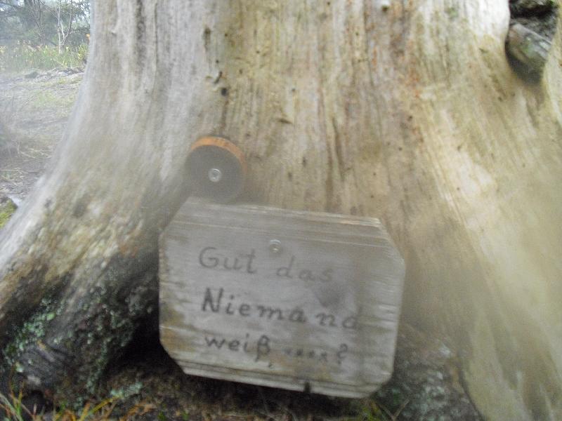 CIMG3767.JPG