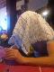 IMG00263-20101024-1446.jpg