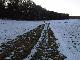 Schlammschnee