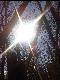 Sonne