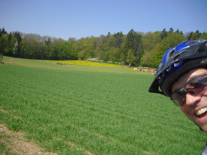 Einblick