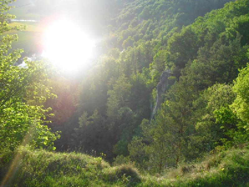 Gegenlicht Naabblick