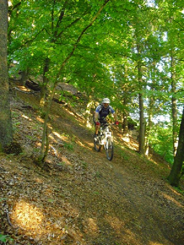Hrn.Wald