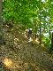 Hrn.Wald