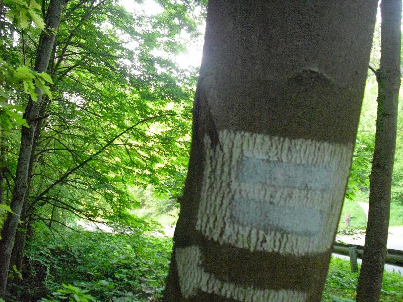Wegweisung