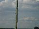 Mast