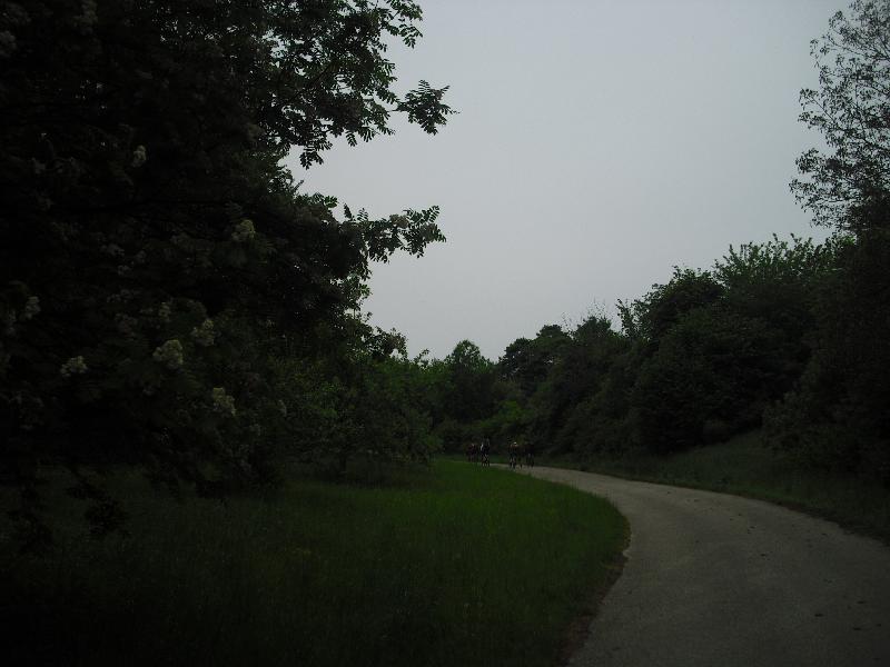 Teerstrae