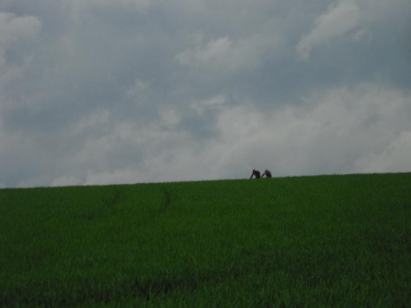 Aufsteiger
