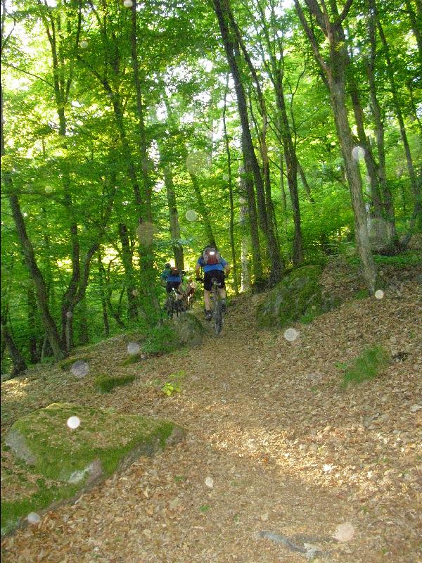 Trails