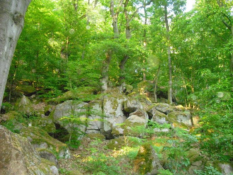 Schlosstrail