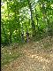 Trails