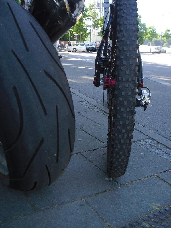 dicke und schne Schlappen