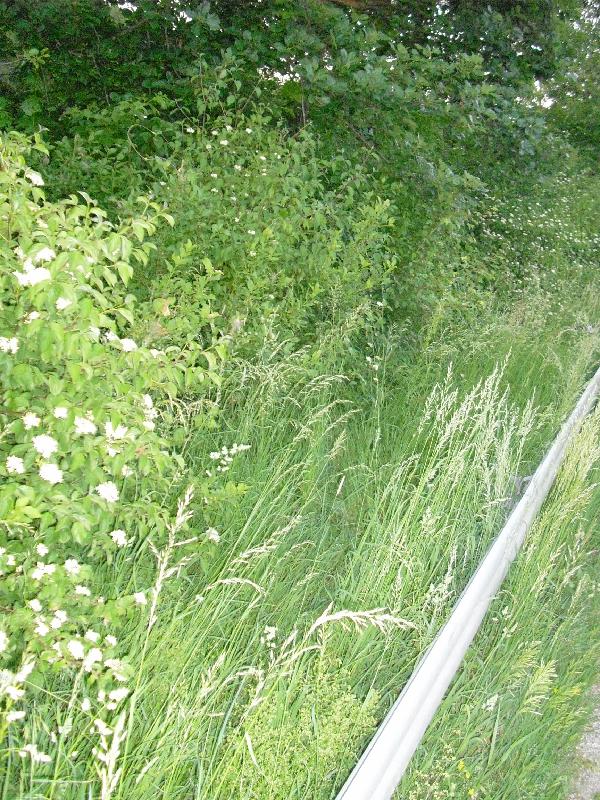 Landebahn