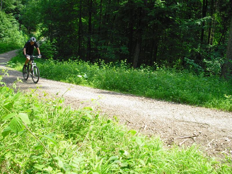 Einlauf I
