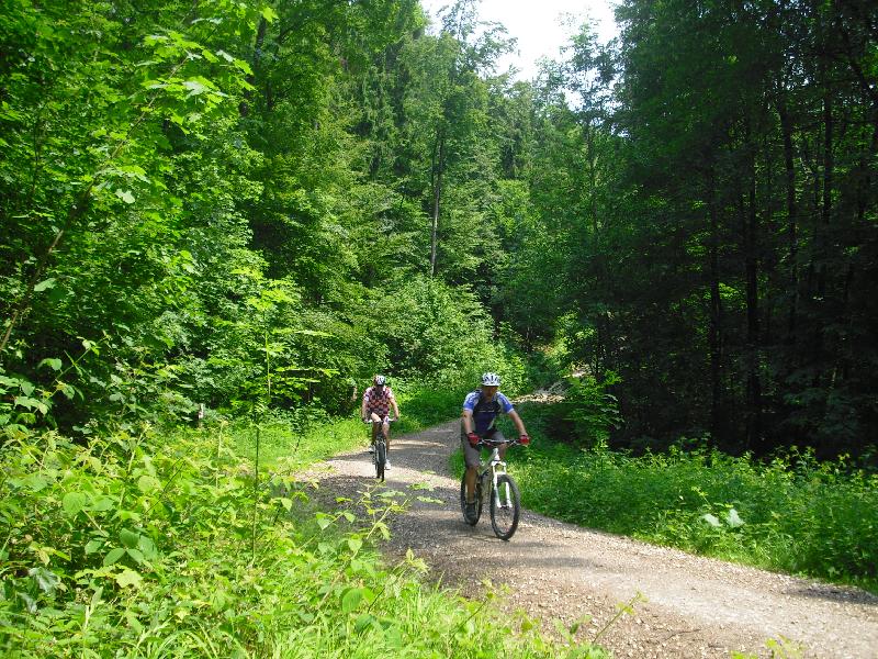Einlauf III