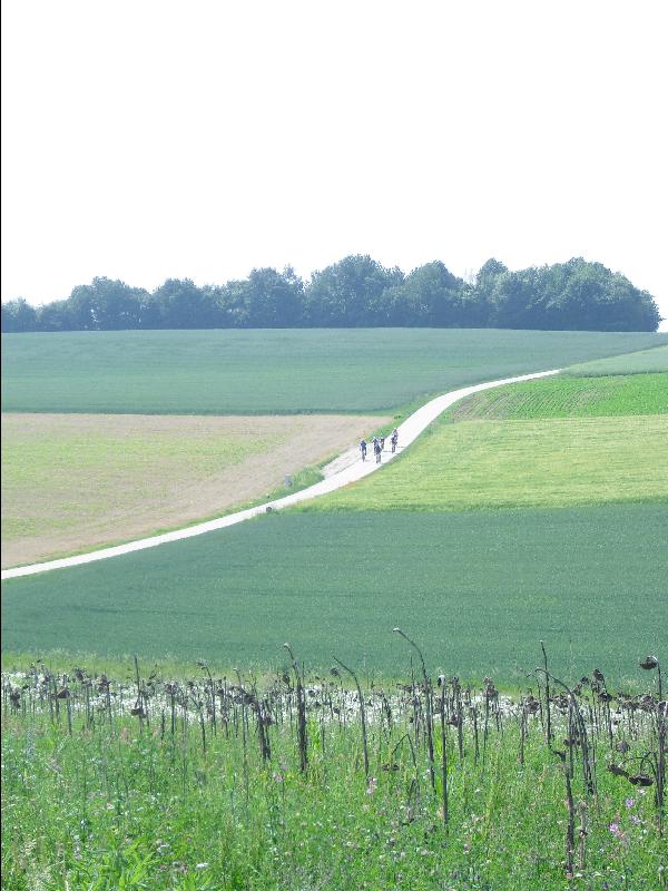 Rennen I
