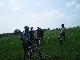Wartung