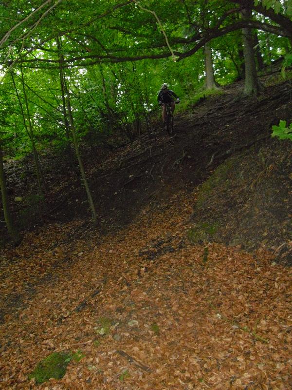 Anlauf