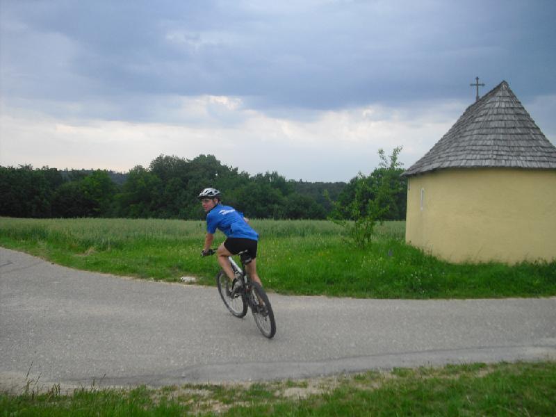 Zivi