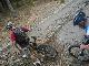 bse MTB machen den Wald kaputt
