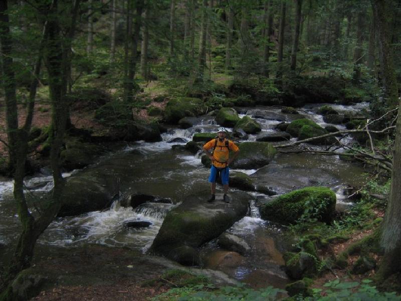 Hrn im Fluss