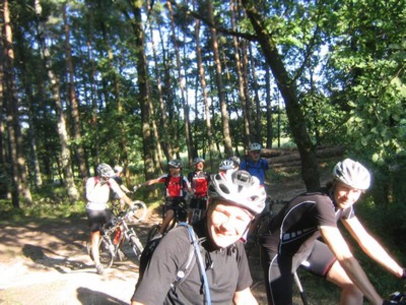 Warten