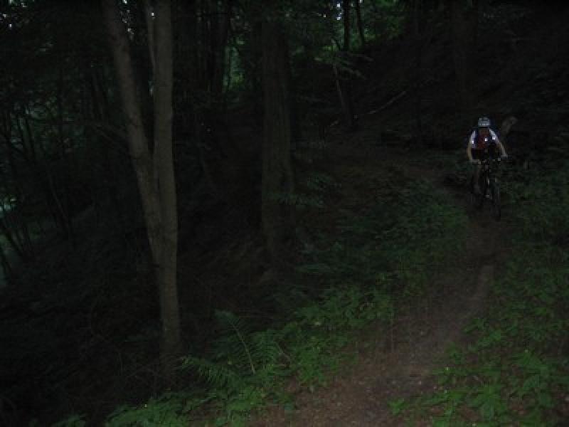Amselsteig I