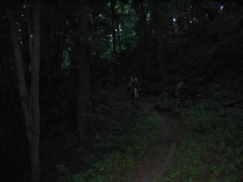 Amselsteig III