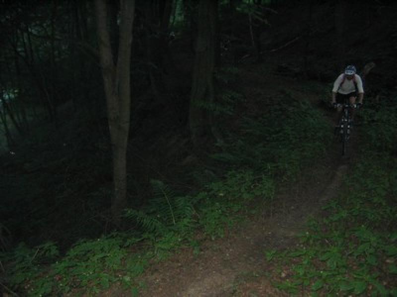 Amselsteig IV