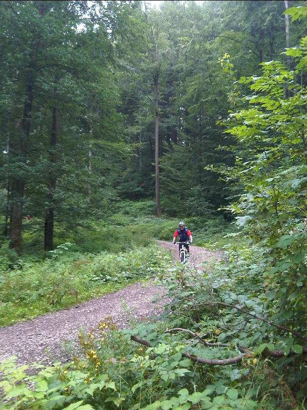 Jgersteig I