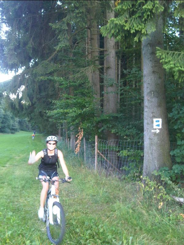 Wiesenaufstieg