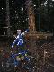 Kletterwald