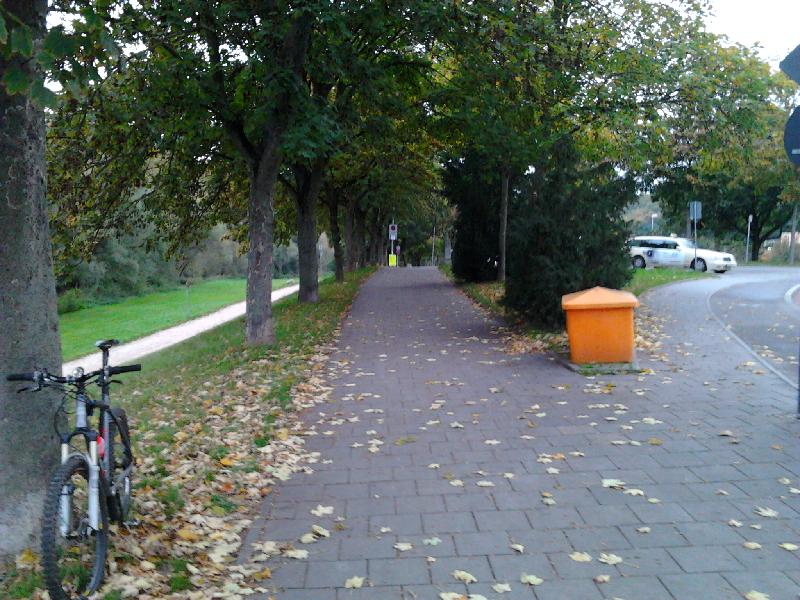 Keiner von Rechts