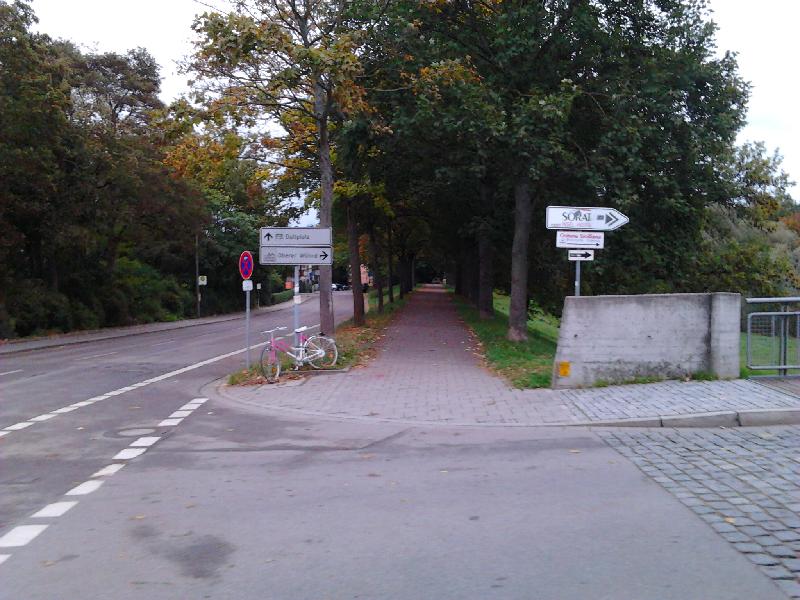 Keiner von Links