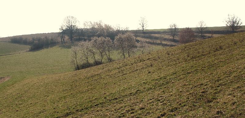 Igors Runde I