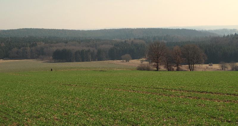Igors Runde III