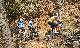 2012-03-18 11.43.42.jpg