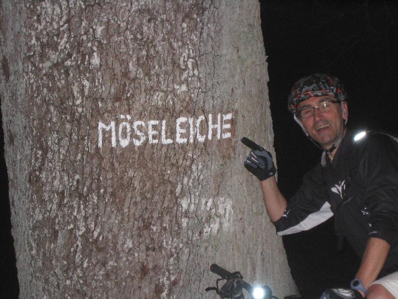 Spezialeiche.jpg