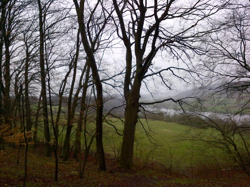 Regen