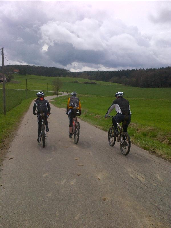 zum Bhm II