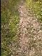 Foto0369.jpg