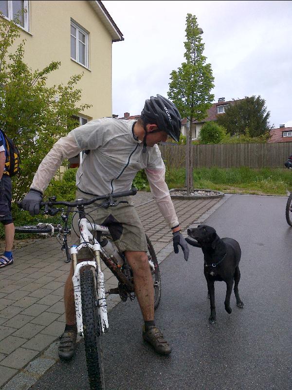 freundlicher Hund