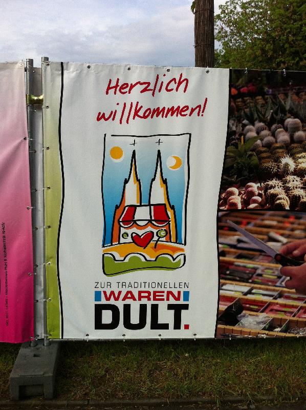 Dult is