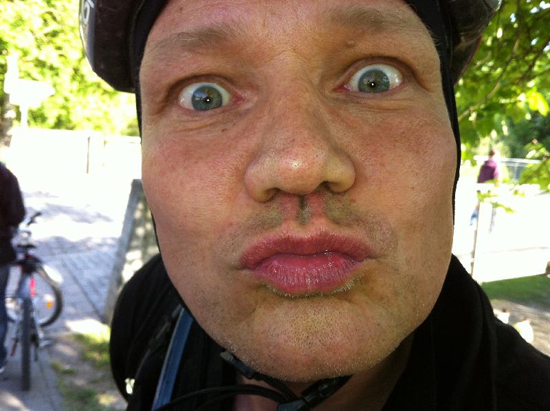 Bussi