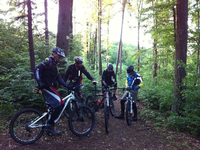 im Wald