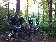 im Wald