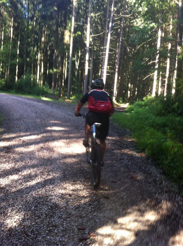auch noch im Wald