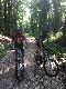im Wald